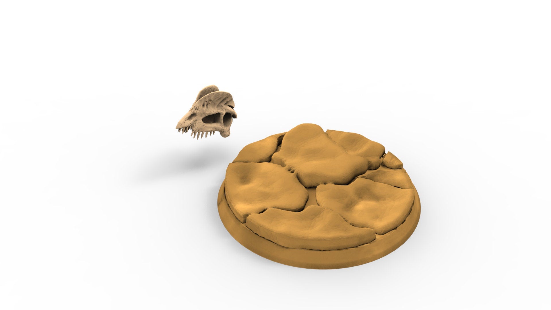 Lots of dino skulls base decoration usable for Oldhammer, warmachine, infinity, zombicide, scifi wargame...