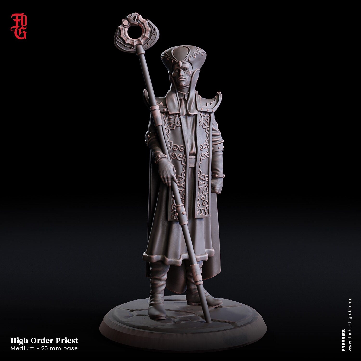 Welcome Back - Hero - High Order Priest (Medium - 25 mm), quest for glory, Flesh of Gods, for Wargames, Dungeons & Dragons TTRPG