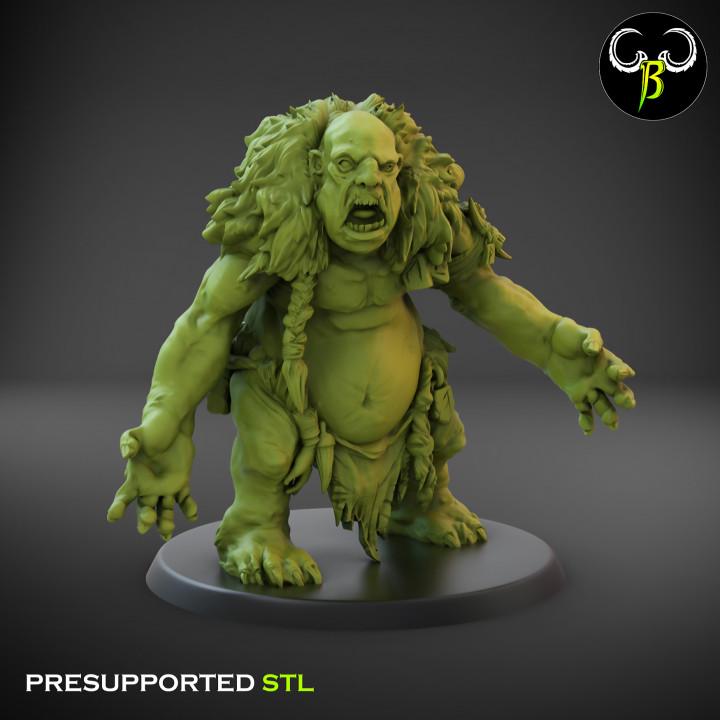 Ogres - Forgotten Sons, The March of the Ogors, Sons of the Everfeast.