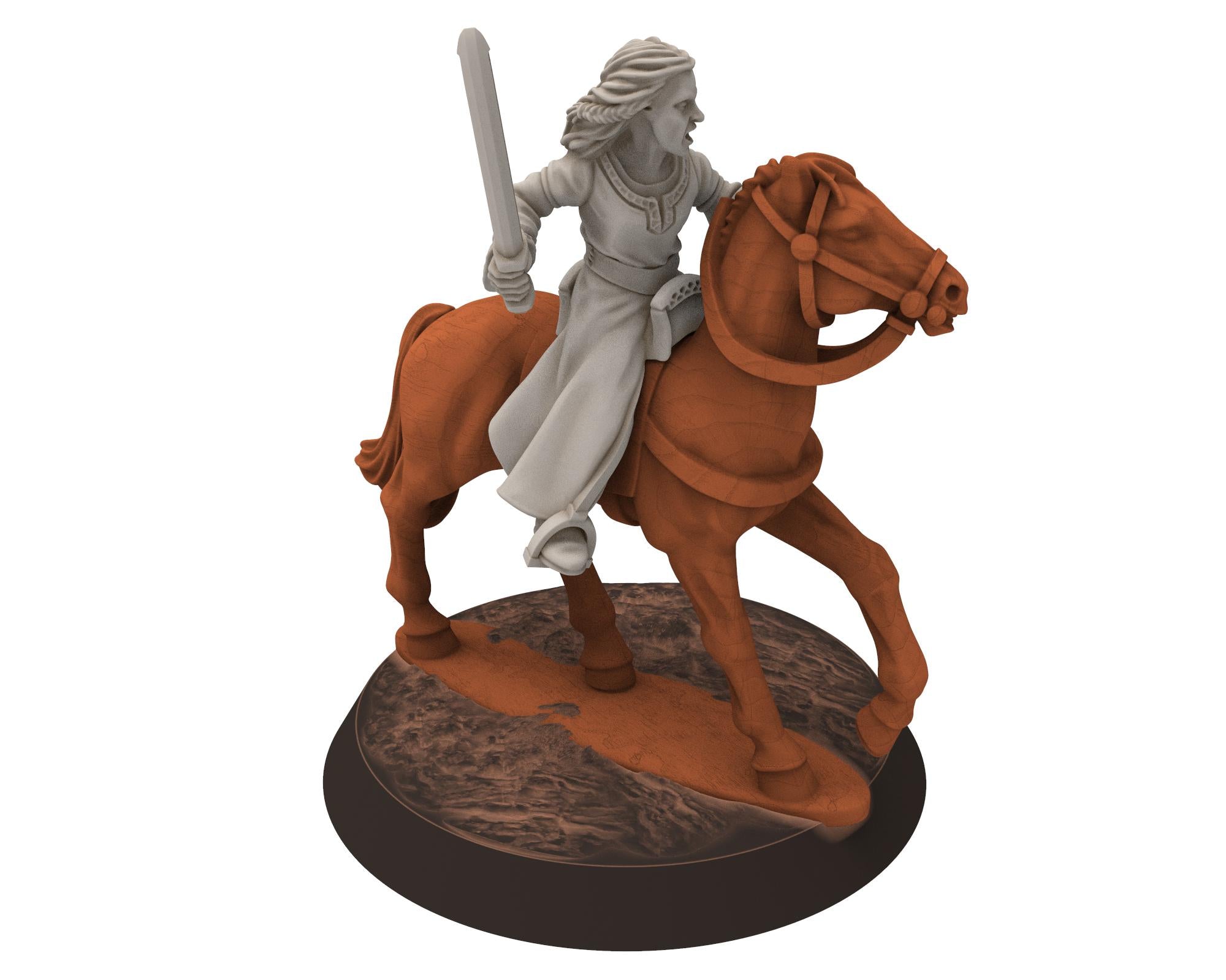 Rohan - Venerable Shield Maiden Dunwine Heroine of Rohan, the Horse-lords of the mark, minis for wargame D&D, Lotr... Medbury miniatures