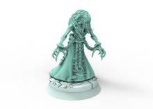 Load image into Gallery viewer, Dark City - Wild nightmare Dark eldar drow
