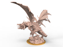 Load image into Gallery viewer, Undead - Zombie Dragon, Bloodsucker
