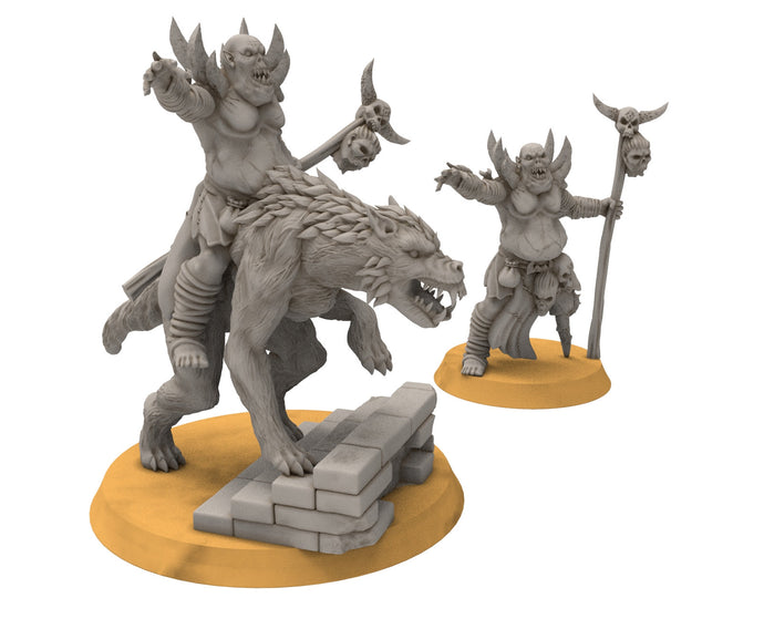 Goblin cave - Forlong Goblin old leader, Dwarf mine, Middle Ring miniatures pour wargame D&D, SDA...
