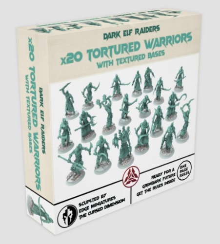 Dark Elf Raiders - x20 Tortured Warriors