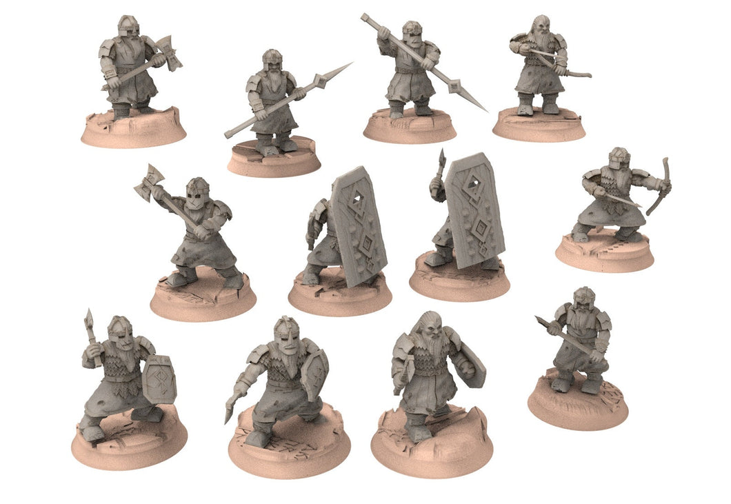 Dwarves - 12 Modular warriors, The Dwarfs of The Mountains, for Lotr, davale games miniatures