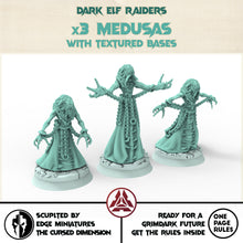Load image into Gallery viewer, Dark City - Wild nightmare Dark eldar drow
