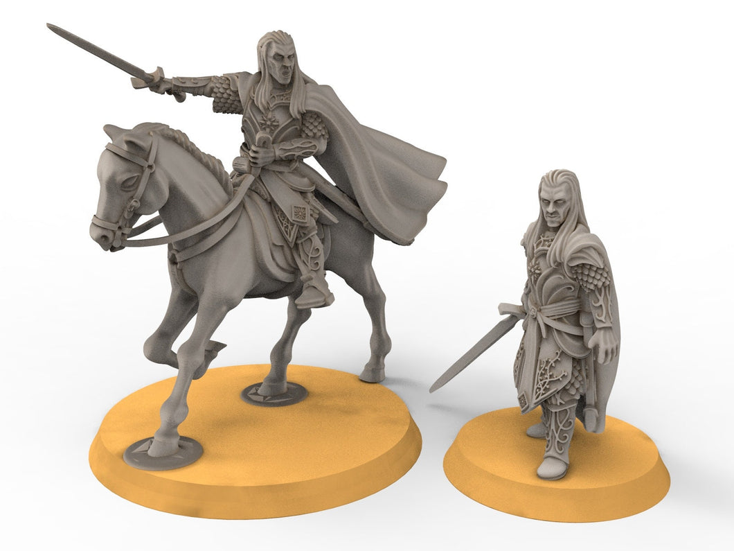 Rivandall -  Lord protector of the heaven, Last Hight elves from the West, Middle rings miniatures for wargame D&D, Lotr...