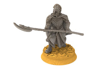 Load image into Gallery viewer, Darkwood - Heavy spearmens Elven Warriors, Modular heads shields, Middle rings miniatures for wargame D&amp;D, Lotr...
