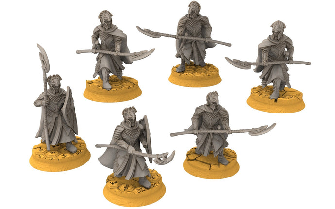 Darkwood - Heavy spearmens Elven Warriors, Modular heads shields, Middle rings miniatures for wargame D&D, Lotr...