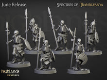 Load image into Gallery viewer, Undead - Skeleton Warrios with Spears
