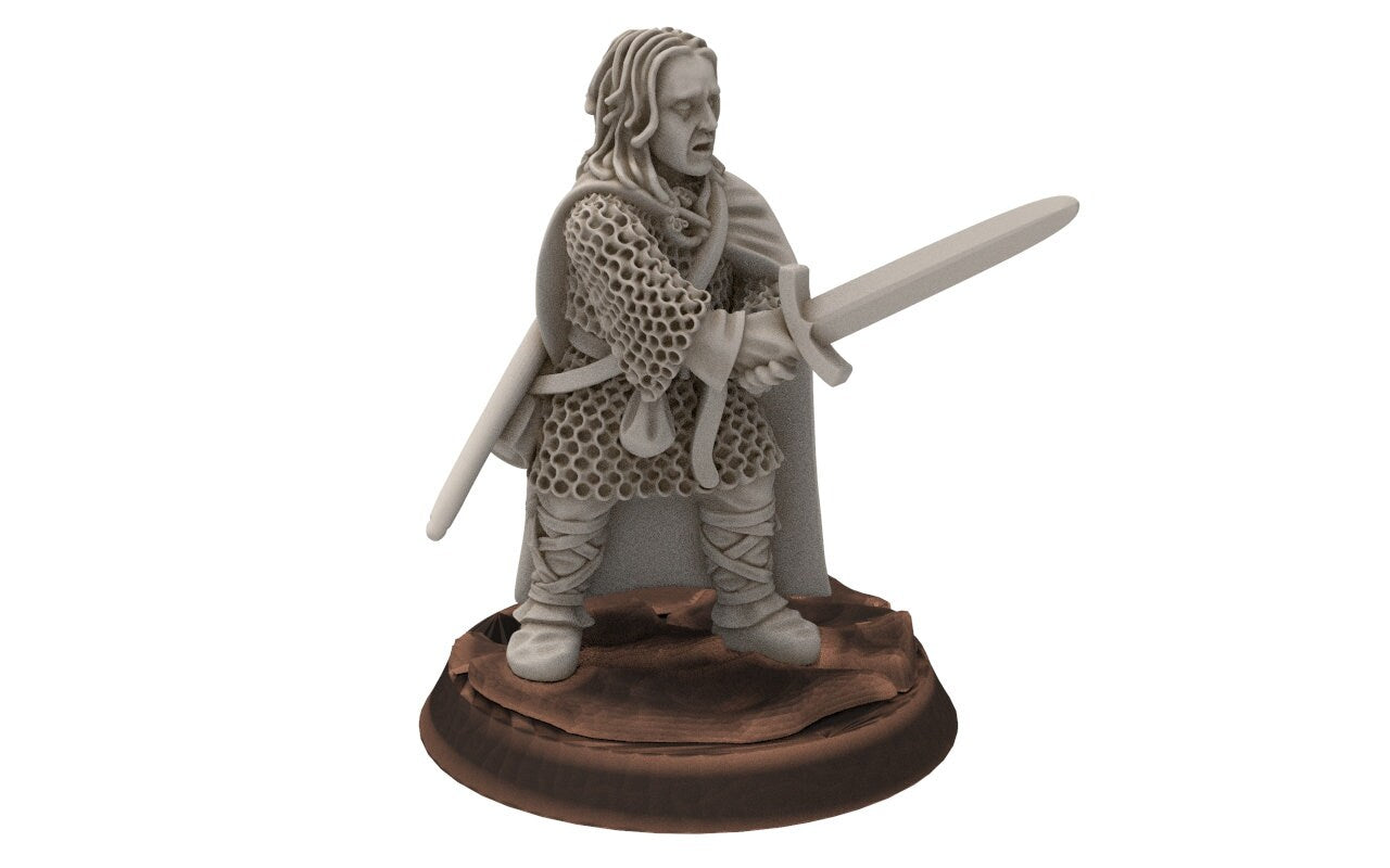 Rivandall -  Aldin, Warden off the shire, Last Hight elves from the West, Middle rings miniatures for wargame D&D, Lotr...