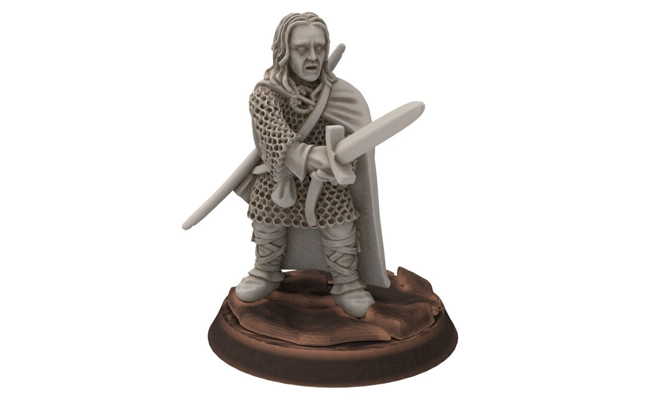 Rivandall -  Aldin, Warden off the shire, Last Hight elves from the West, Middle rings miniatures for wargame D&D, Lotr...