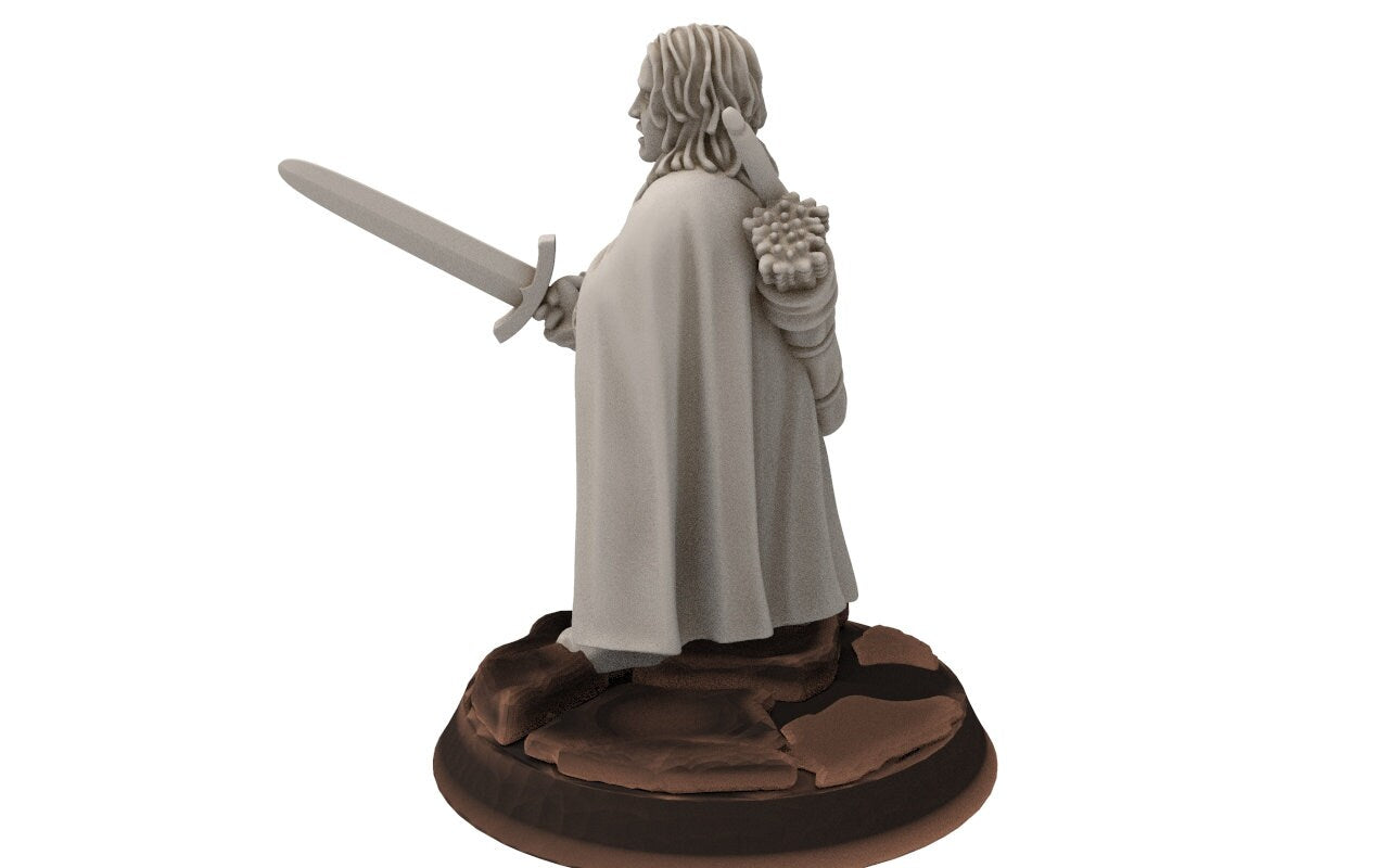 Rivandall -  Aldin, Warden off the shire, Last Hight elves from the West, Middle rings miniatures for wargame D&D, Lotr...