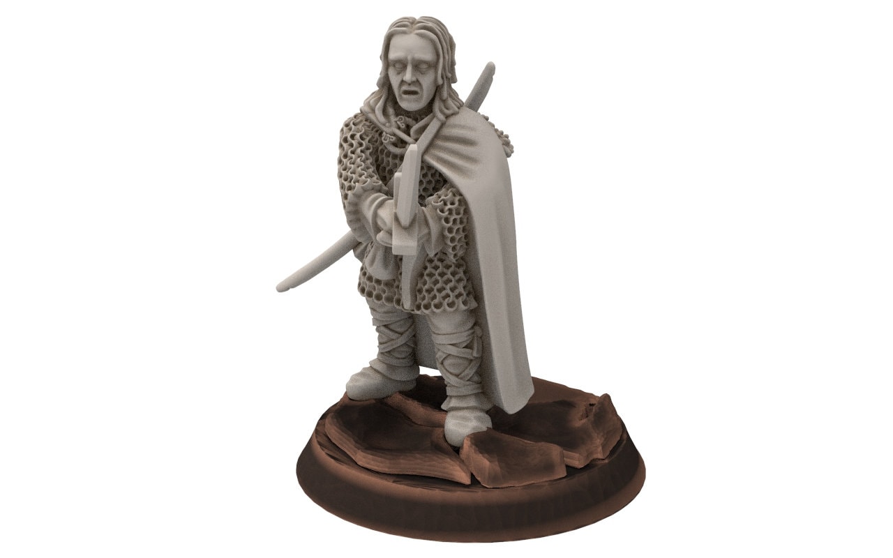 Rivandall -  Aldin, Warden off the shire, Last Hight elves from the West, Middle rings miniatures for wargame D&D, Lotr...