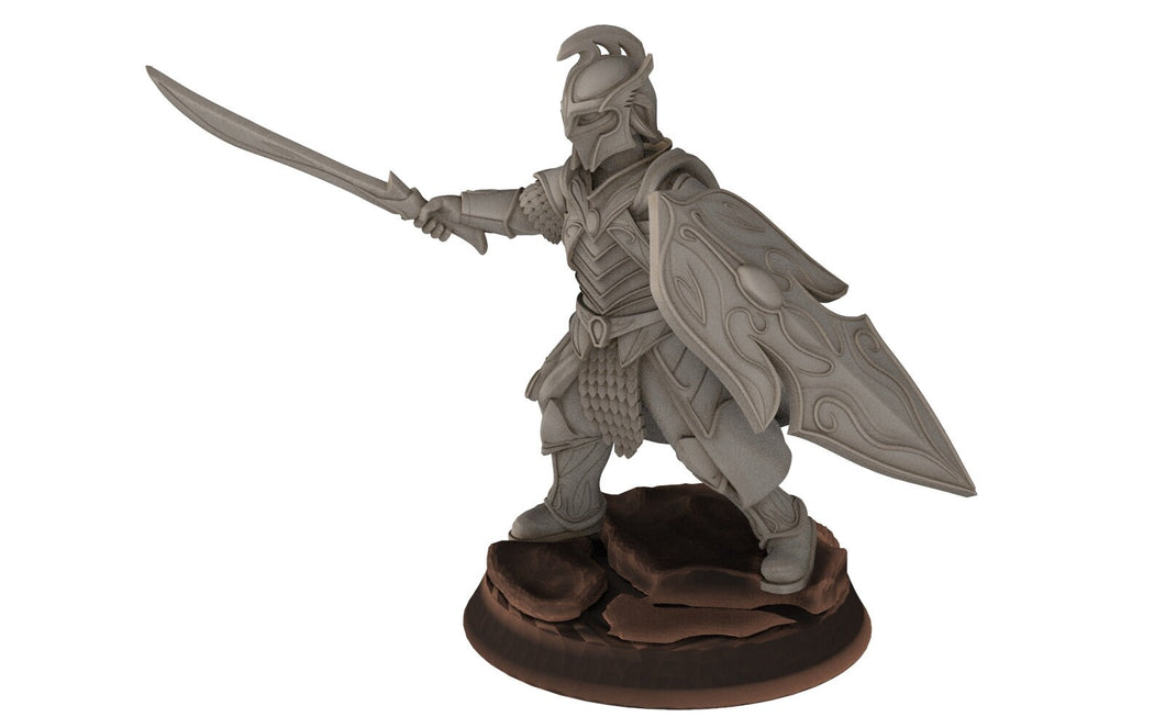 Rivandall - Captain and banner, Last Hight elves from the West, Middle rings miniatures pour wargame D&D, SDA... Quatermaster3D miniatures