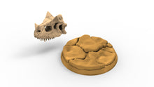 Load image into Gallery viewer, Lots of dino skulls base decoration usable for Oldhammer, warmachine, infinity, zombicide, scifi wargame...
