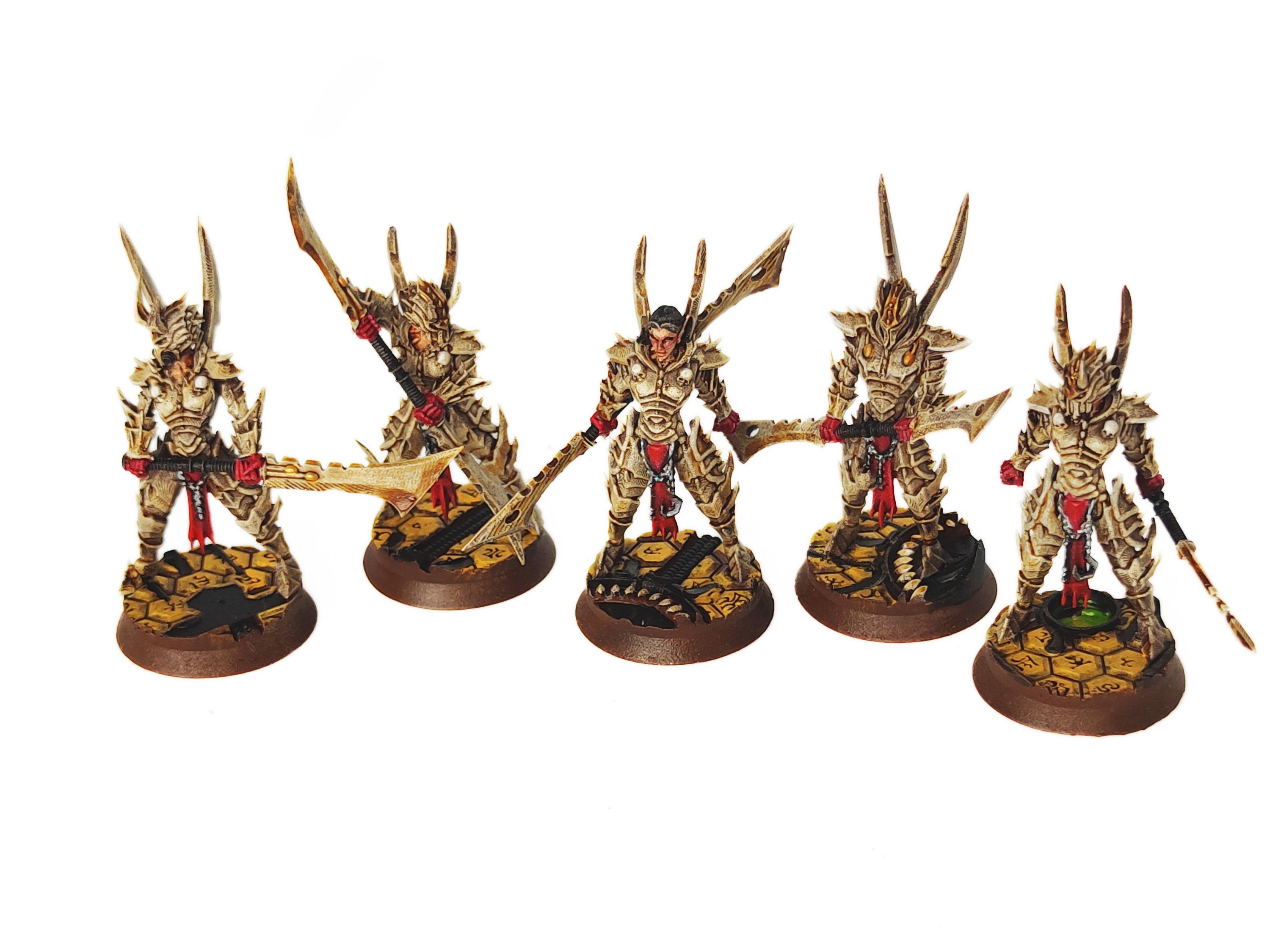 Dark City - Personal Guards Mercenary Temple warriors Dark eldar drow 