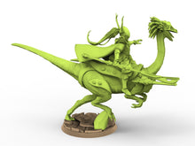 Load image into Gallery viewer, Exotic Elves - Gallimimus Leader
