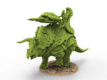 Load image into Gallery viewer, Exotic Elves - Triceratops Tank

