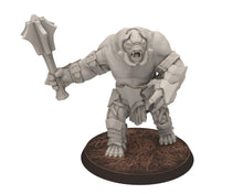 Load image into Gallery viewer, Orc horde - The Black Door War Troll V5, Beast of war created by the Dark Lord, Detailled Dark Lord Miniatures for wargame D&amp;D, Lotr..
