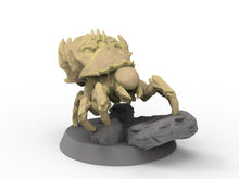 Load image into Gallery viewer, Fukai - 11 BrainBugs ,usable for tabletop wargame Pathfinder, Dungeons and Dragons and other TTRPS.

