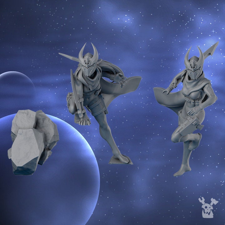 Battle Sister - Daughter of Silence, assassins, cult death, sorority, crusade battle