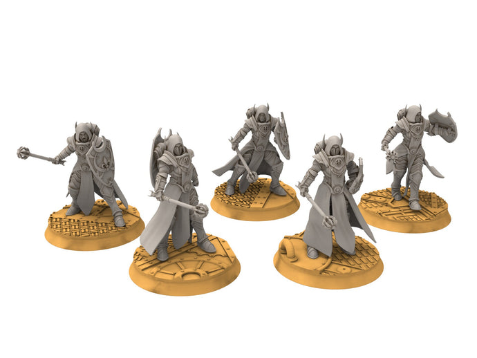 Battle Sister - Silver Guards Squad with mace, assassins, cult death, sorority, crusade battle