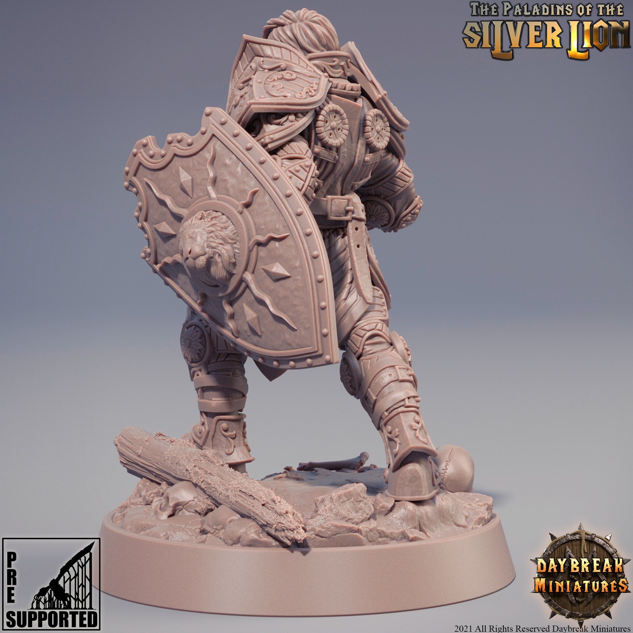 Protector of light - Isabelle Du Lion d'Argent - The Paladins of The Silver Lion , Pathfinder, Dungeons & Dragons