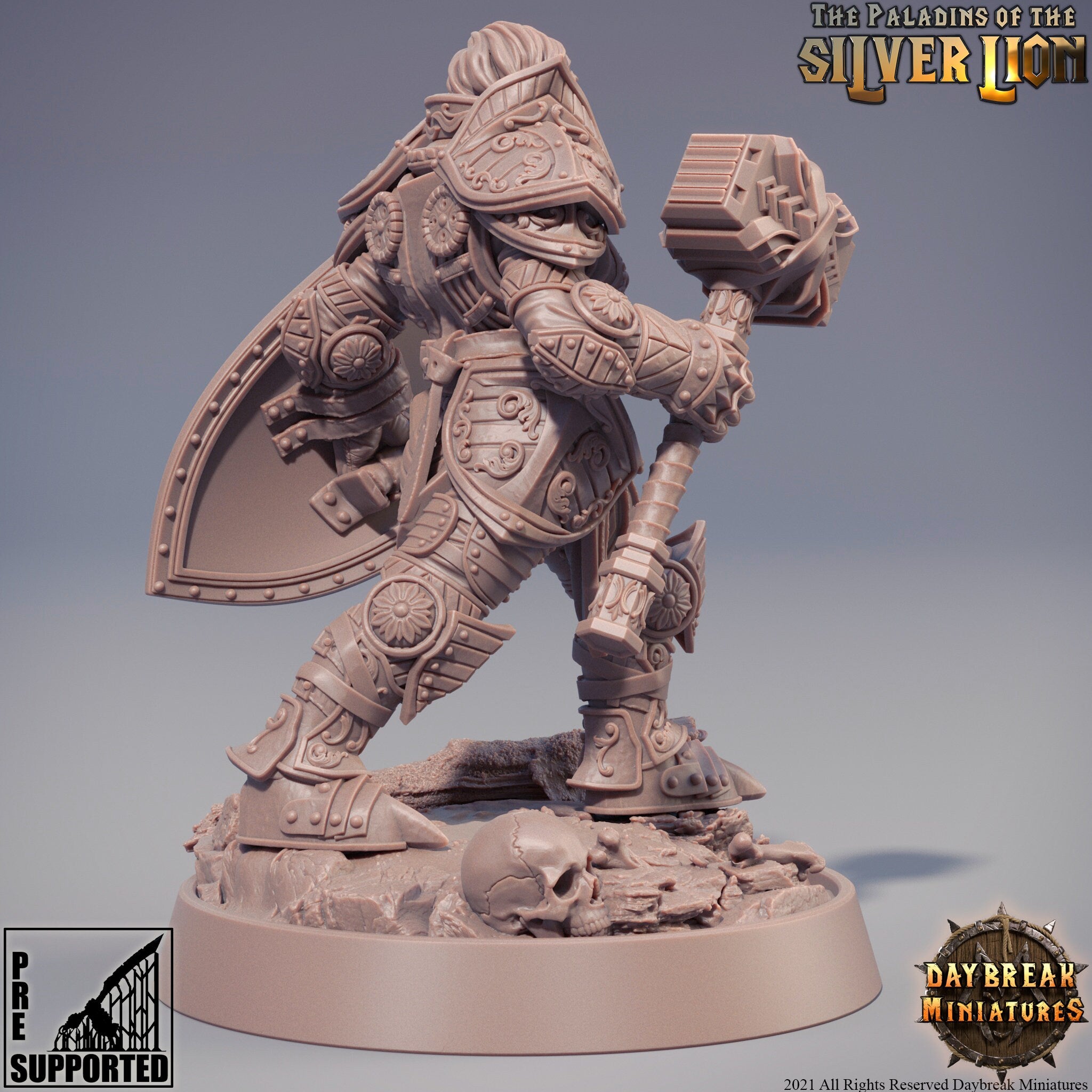 Protector of light - Isabelle Du Lion d'Argent - The Paladins of The Silver Lion , Pathfinder, Dungeons & Dragons